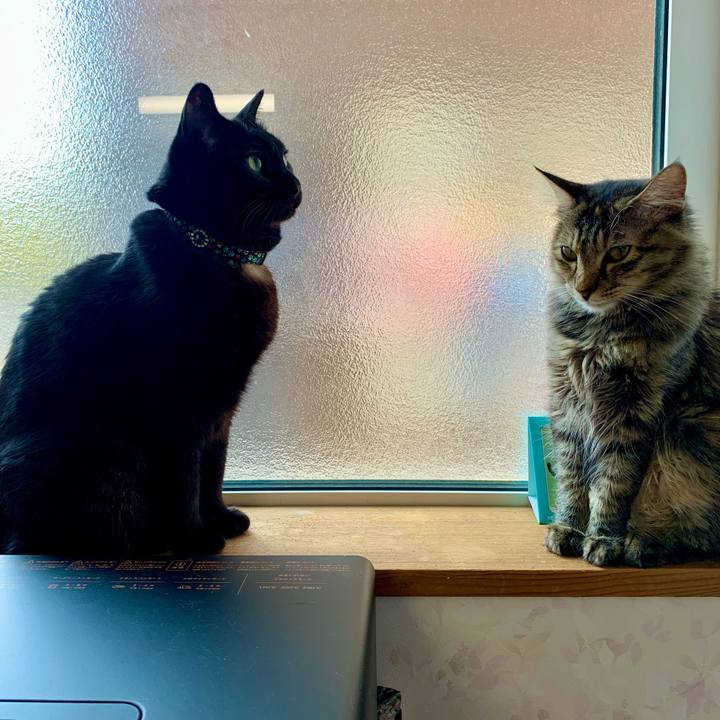 E8052bef e4a6 446d b70d 4170afafc76a 1652860051453