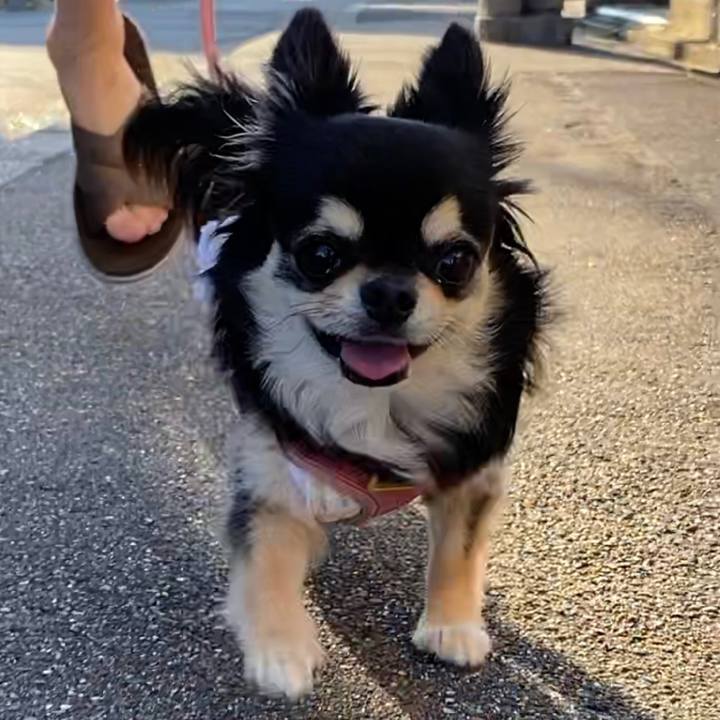 E8054109 9df3 4226 a251 aa0603f0f705 1630192410801