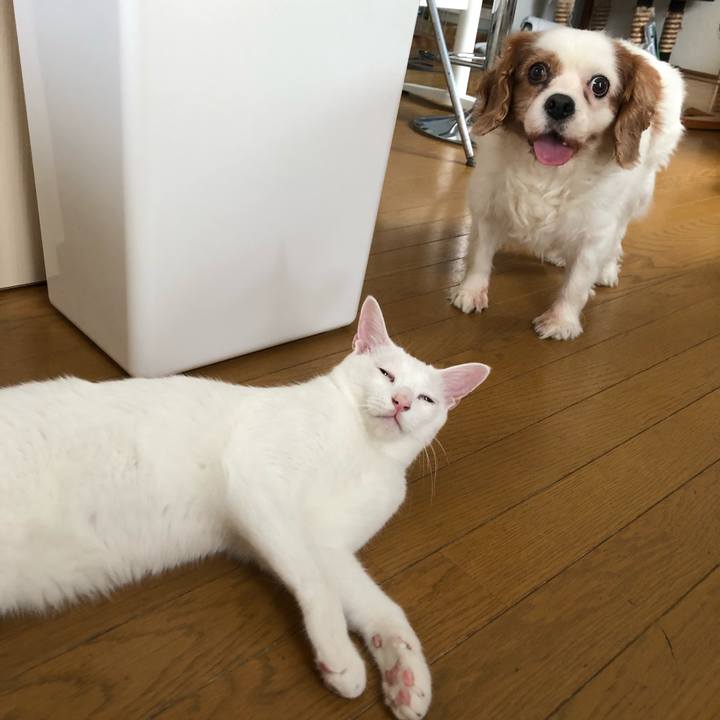 E8054753 e0df 48ed 874d 4209db7f532f 1566461462159