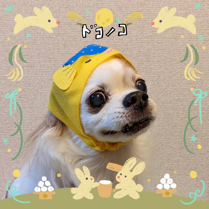 E805530d 0dc1 4213 8062 24a9612c9b86 1726965729750