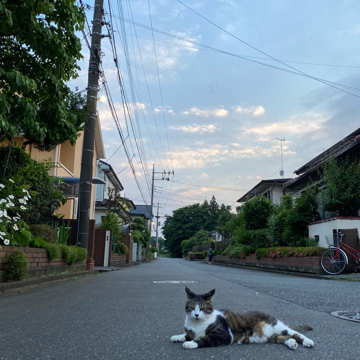 E8058359 a733 4bbd 953e 33c9dad1cecb 1590592083121