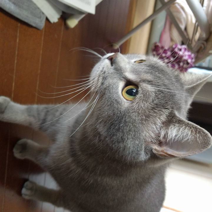 E8058ffd 5651 4b3e 8b8c b9d7da7fd54f 1539477416531