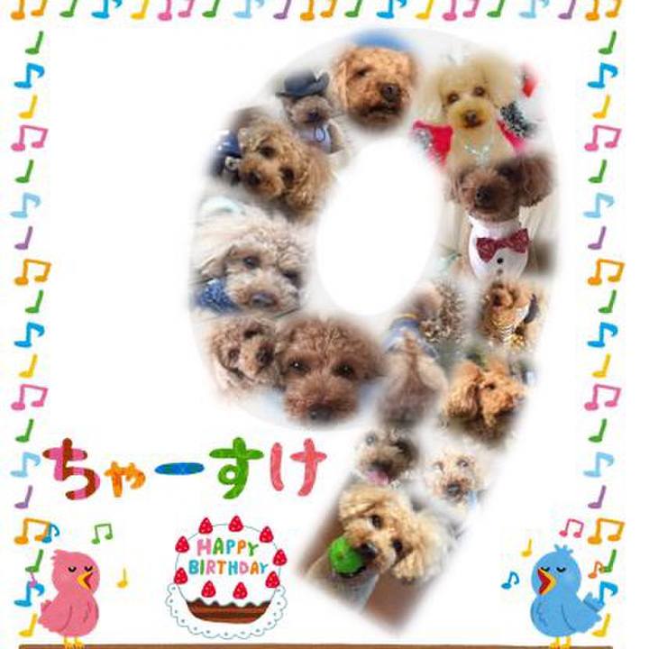 E805af61 aabf 4e3c a075 1dd422e23bb6 1519114288850