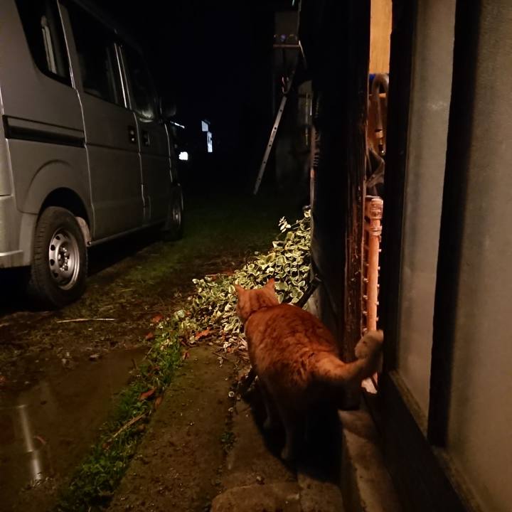 E805c6e6 bcdf 4558 89fe 3713ff11a1e3 1607158138697