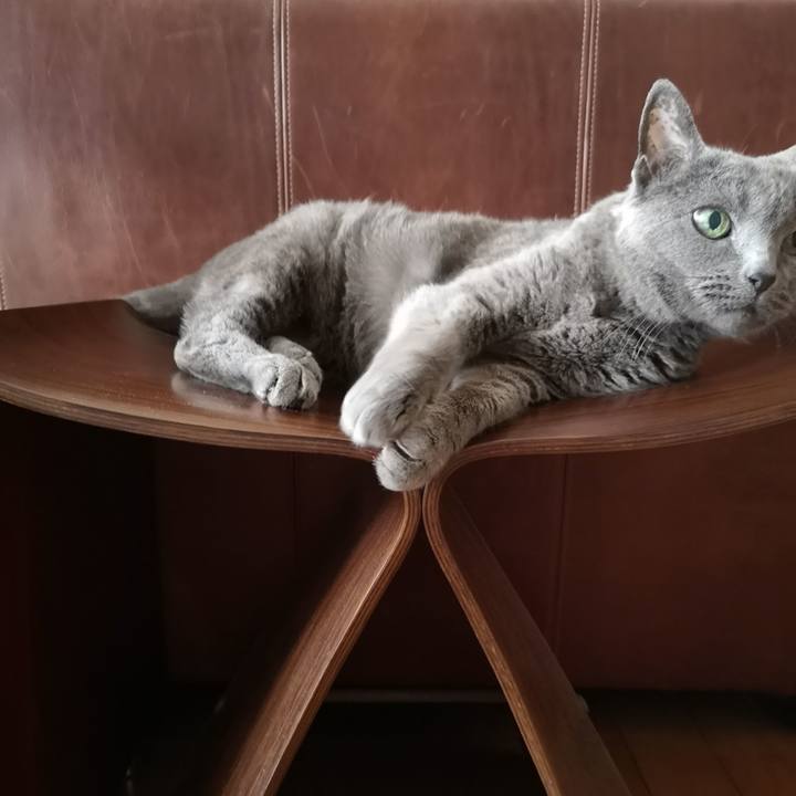 E805db97 4a1f 47fd bf38 fe6a1d9a27b1 1591000005183