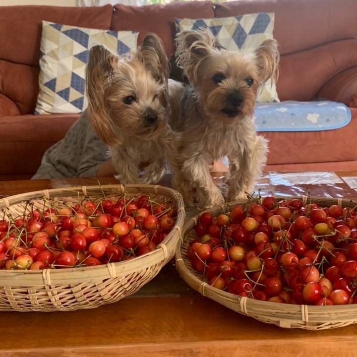 E805f8ad cd58 4ee1 9456 54f1fad315ea 1655631177575