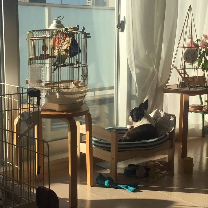 E8065e92 b8f9 4a6a 8f6b 567c2c473aca 1512868839439