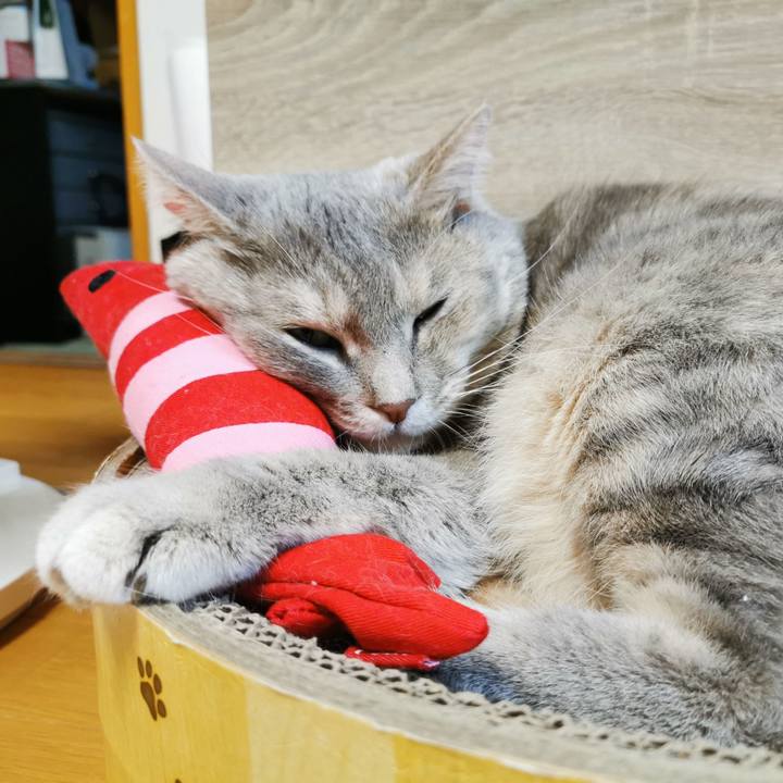 E80665b4 7374 40a3 ba47 34eaf291d1dc 1628396172318