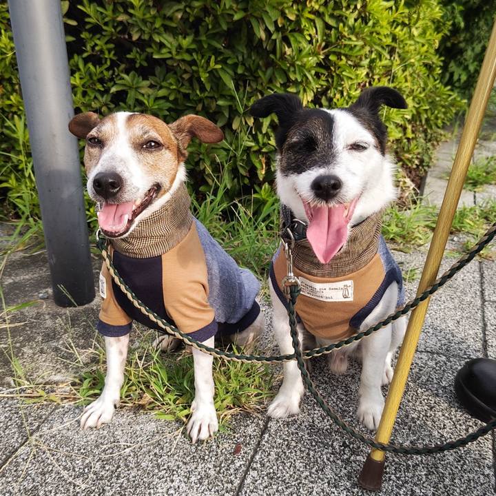 E806a48d e1c4 4f8d 8e27 e57b1494ab80 1754430746263