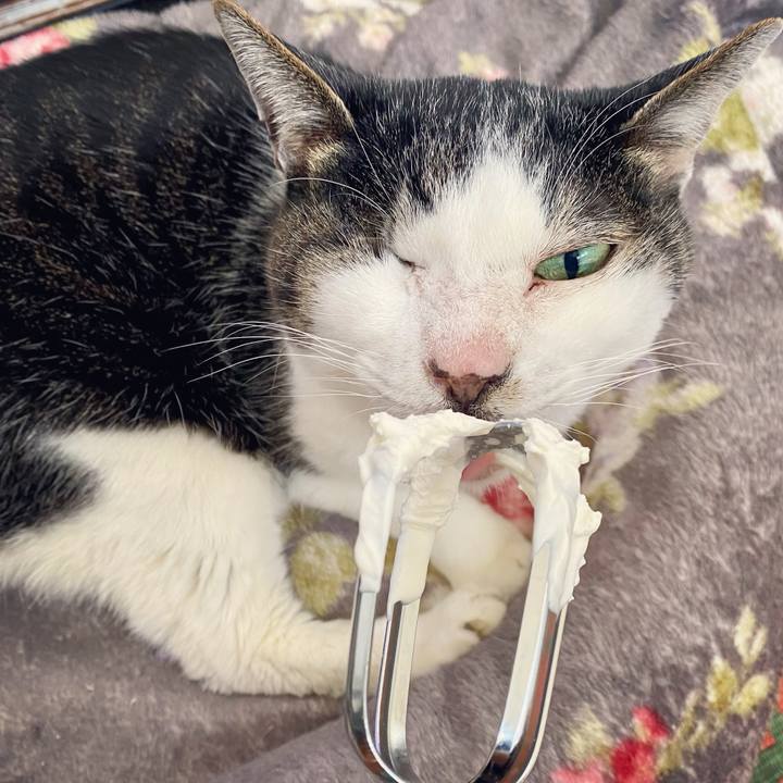 E806b013 5c2b 4baa 8a59 b7fbe7d8744e 1616484771657