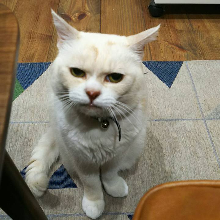 E806c67c 1c70 46f7 94bb 72213b414080 1528382205688