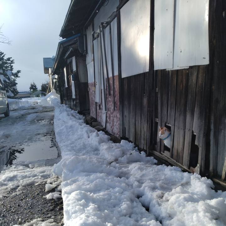 E806dae8 ae25 4cd6 9487 112599c1c7ab 1736579424447