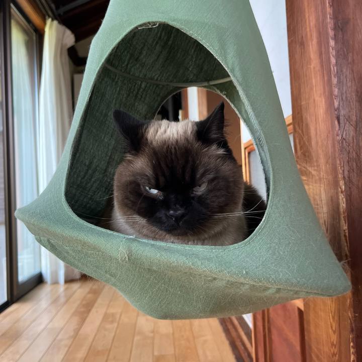 E806ddfb a29a 4393 88ec 2250ff0f83c9 1683243071972