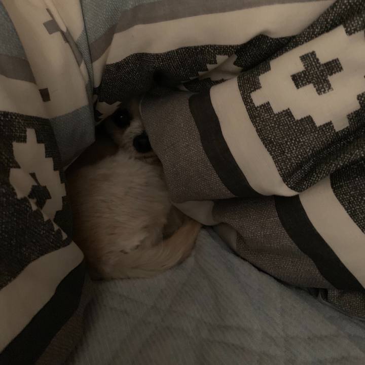 E806e109 05c8 4591 95e8 333823ff5c6b 1556105841870