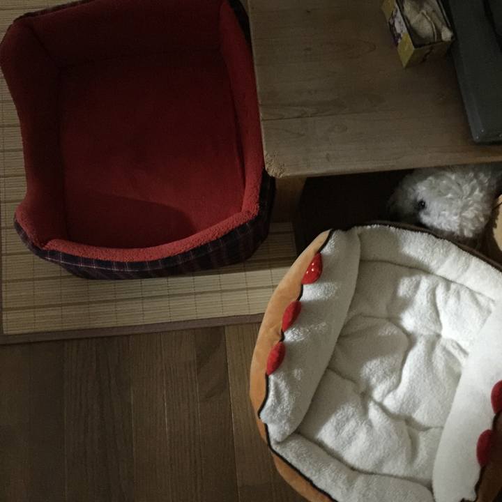 E806ea46 c7d0 4b51 9553 96e64f4af772 1529410078782