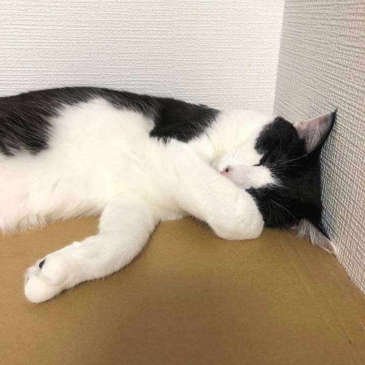 E806ff0f ef2d 45e6 9fff 916323f2bd74 1628516891277