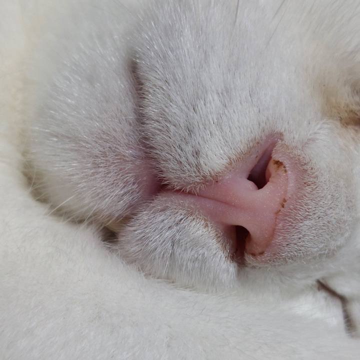 E8071b52 1f44 40a4 a3a2 d0ceeda6da30 1688816903594