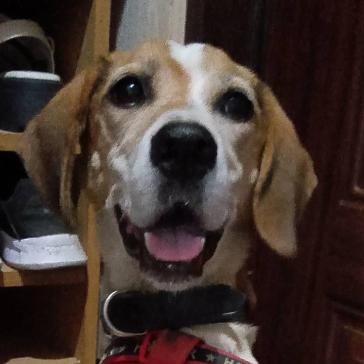 E8073335 eff2 4b0f b197 cbaaeab10110 1730550612105