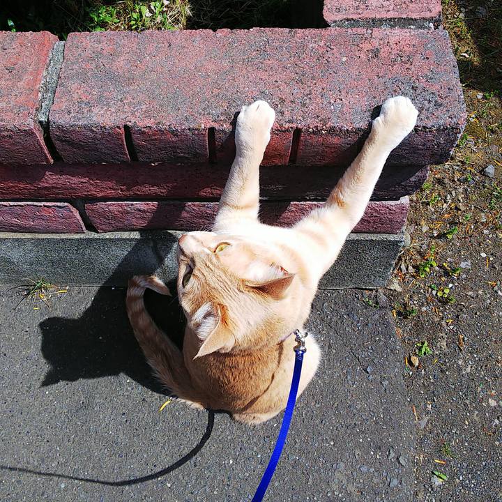 E807444a e6cd 4ce9 b2e7 3f9f166e442b 1591510254264