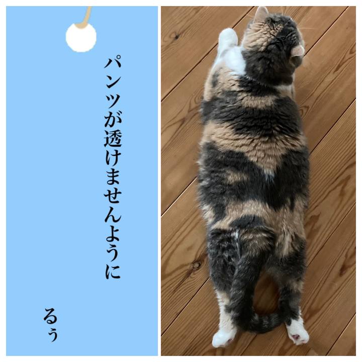 E8075dd0 502e 4e0c a857 4d3bc0537d25 1625622849180