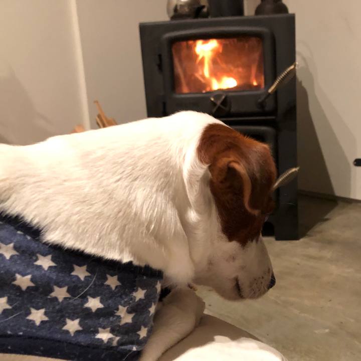 E80769c2 6210 402b 9c17 d45b817e7041 1544782298603