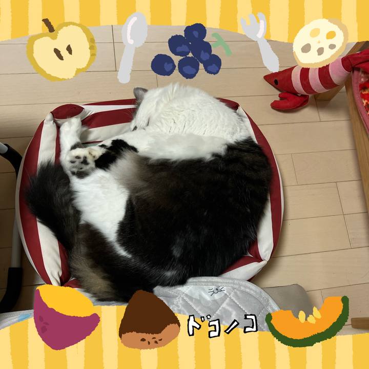 E8078576 0da7 416b 8974 7d5993680515 1726895972495