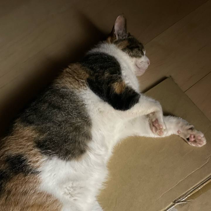 E807b518 5251 4a95 8539 05da0b5321b3 1659543502705