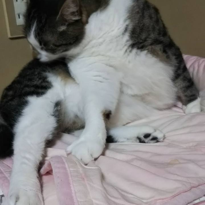 E807b59b b03f 40c1 89c7 be3dd2fe920e 1624443252884