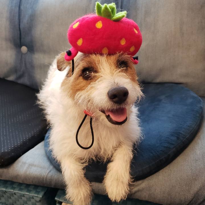 E8084d65 78db 40b9 9ca7 a40aa64cc0aa 1629010686132