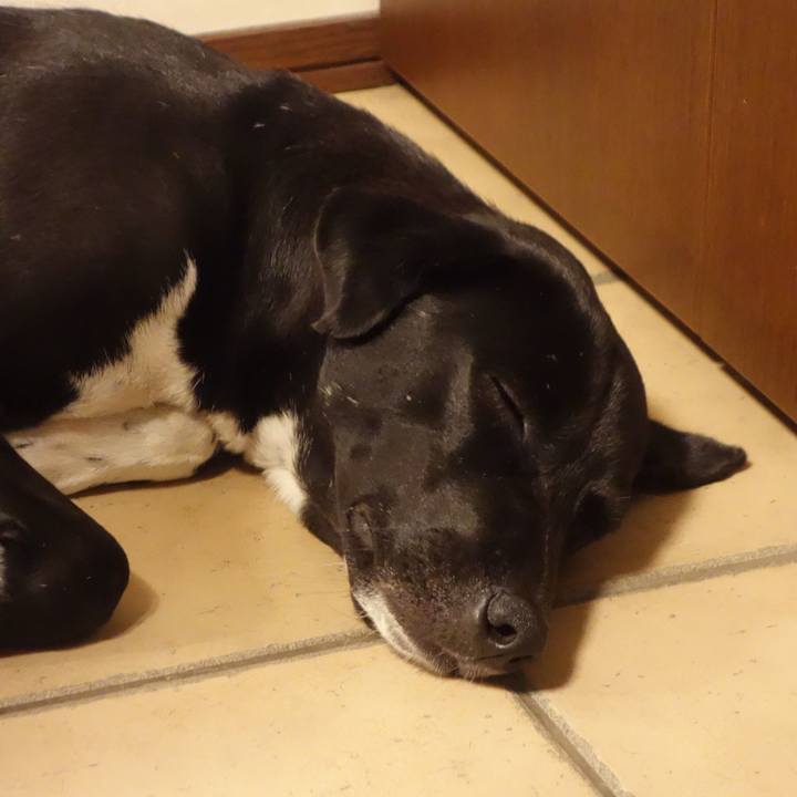 E808502a bc7f 40b5 8ba6 56d19297d470 1591489416292