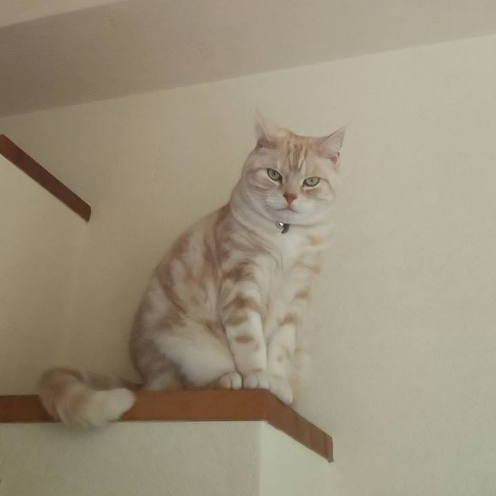 E8086609 05fa 461c 9759 957cf778388b 1554421175346