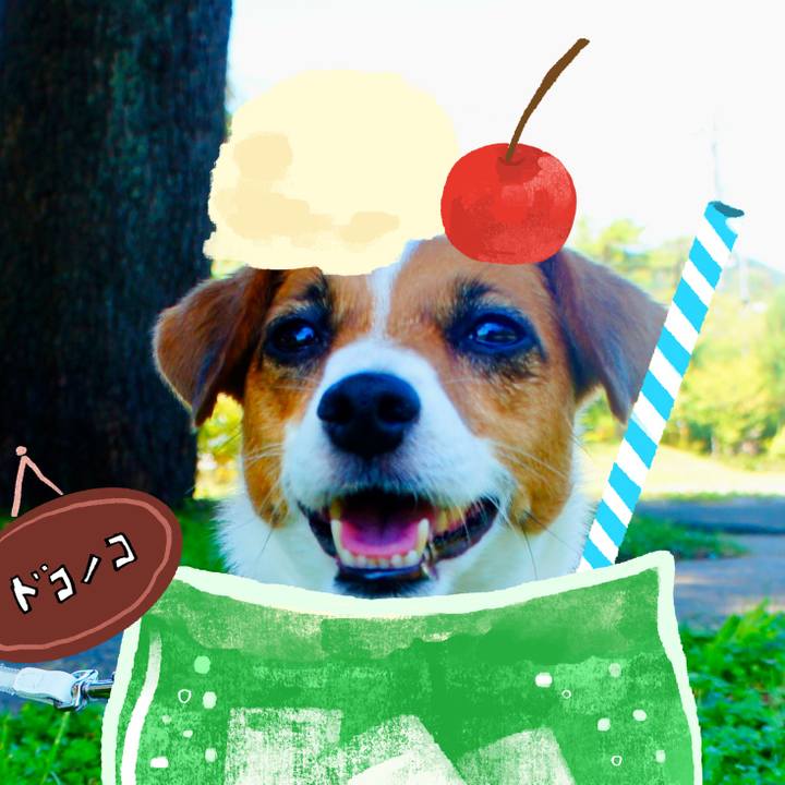 E8086d73 b0b4 48cd bcc7 5280ea067c13 1755435993931