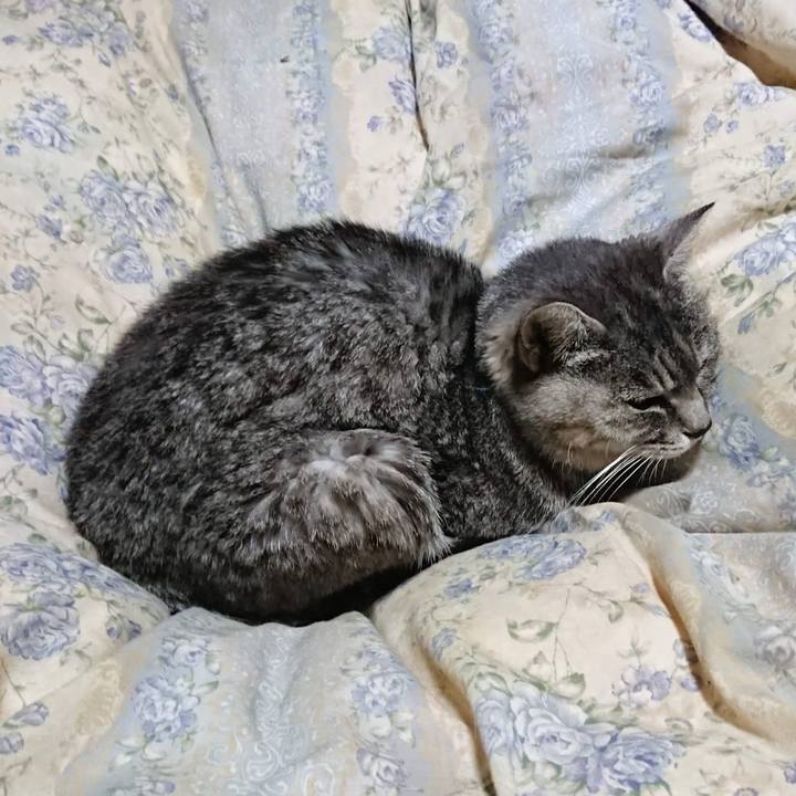 E8086ebd 069f 4c06 ab79 7fd3f89b8750 1605446736868