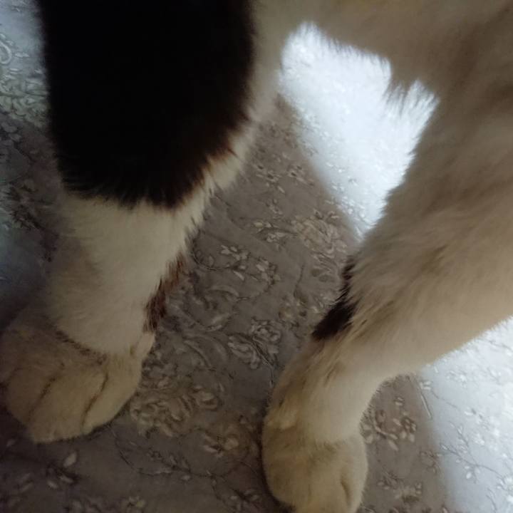 E8089c51 cc0f 4b93 9988 3fc18d7f32b7 1648648502581