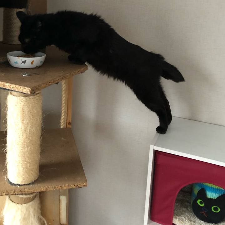 E808b30c 00d6 484a 9cf7 ab3297407a35 1583875736982