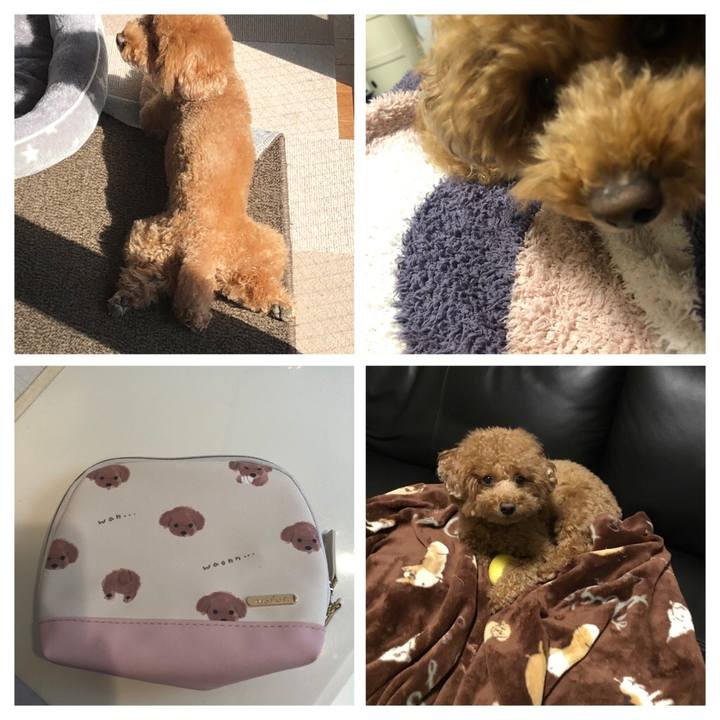 E808d495 cd5d 417c a9db 8aeda2fc093d 1584069841893