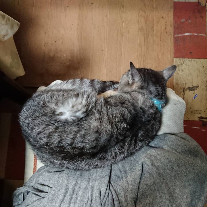 E808fd82 6319 4e30 8e46 4cc5d7ffb749 1577704322211