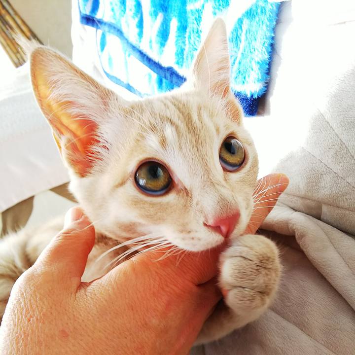 E8091fd6 04d7 4e72 80ae 553411eeb9e6 1542508015522