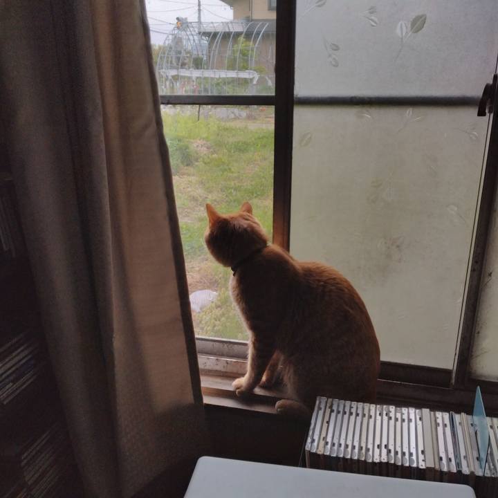 E8092f02 d627 418e b74e 50b8f368b3a6 1684702888895