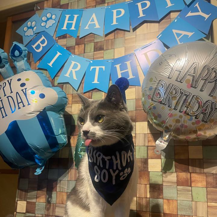 E809452f 9f0d 4829 bd73 d85f1fa7ebaa 1703143743854