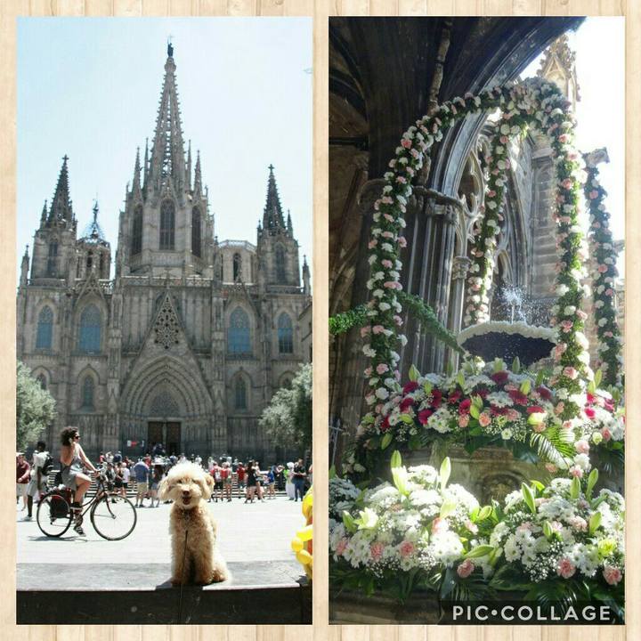 E80975ae 4aff 4941 a26a d5fc7778e982 1561065130880