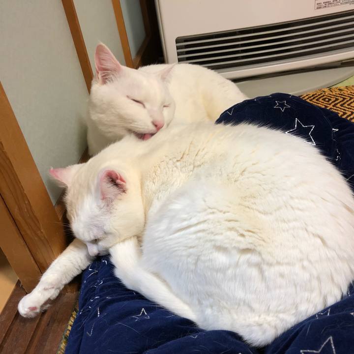 E8097bea 1317 44fe 8101 0058e14cfd80 1551964041451