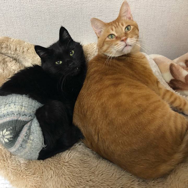 E8098039 eb8f 4a42 aff7 b7e3bee06ed1 1635435645860