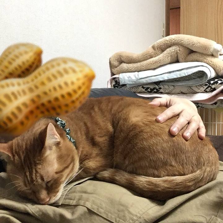 E80987f1 07e2 4a11 9652 6d171b96ccac 1546949085559