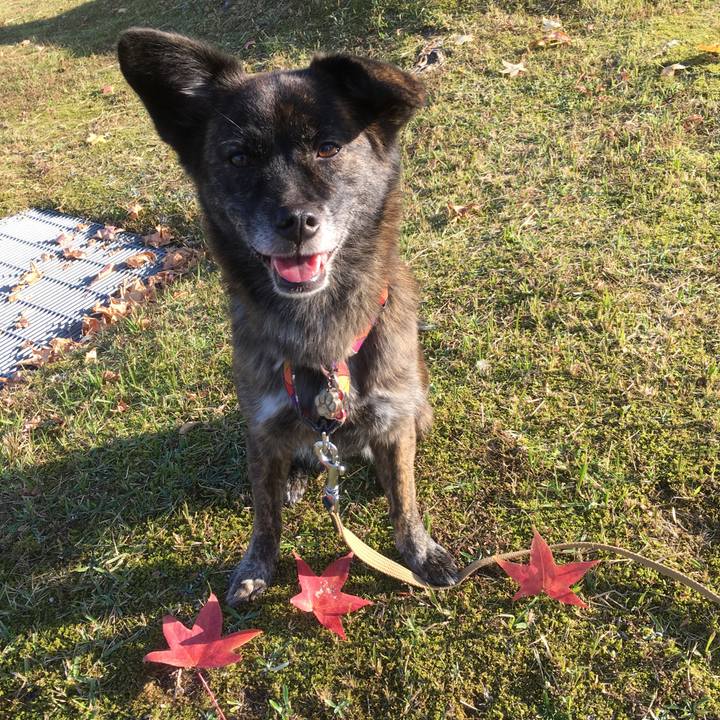 E8098927 5bde 40dc a7b7 d9a450d6a545 1510379617968