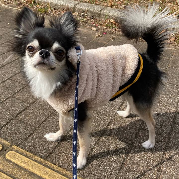 E809a201 11f2 4368 838a 8918d750283f 1643521837523