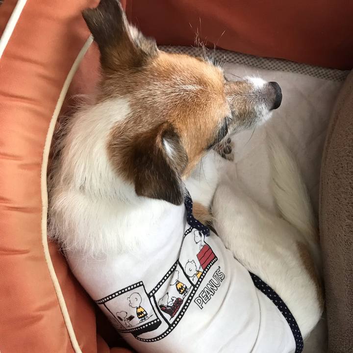 E809df14 62bf 4532 9276 2f6efa90ccef 1567834845668