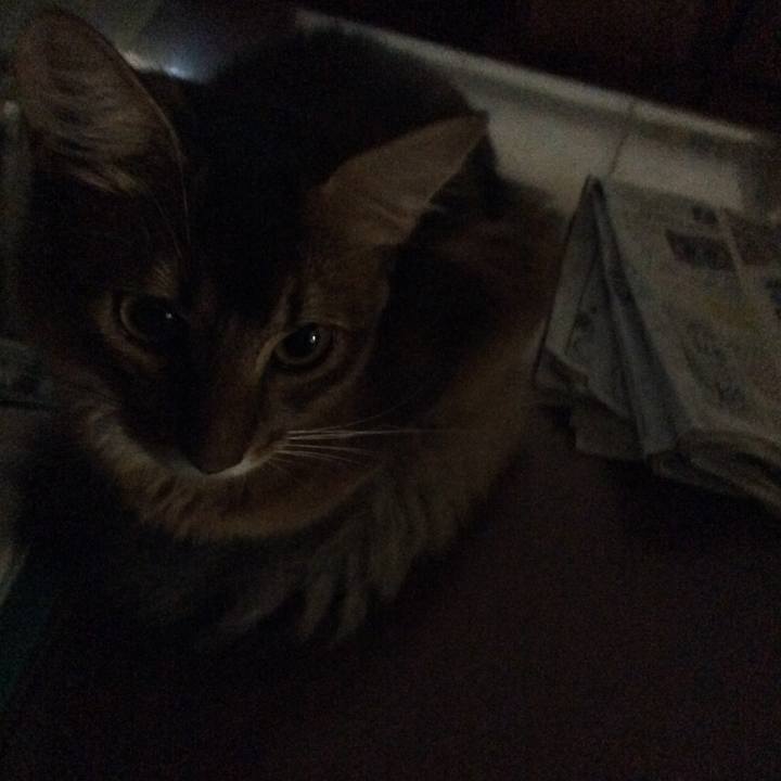 E80a3580 2212 4794 8591 f8d578eab5ee 1566852457090