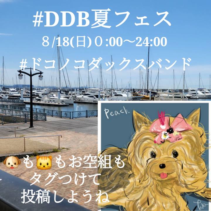 E80a37d8 8d1e 4e88 be19 3b783270baa1 1723865587361