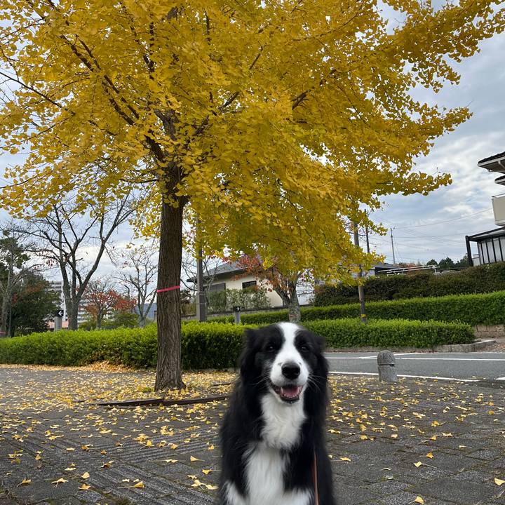 E80a62f6 ffdb 4419 985a ba7e010c8726 1762949649176